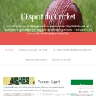 lespritducricket.com