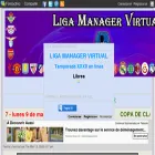 ligamanagervirtual.com