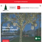 lightsforchristmas.com