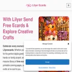 lilyerecards.com