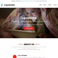 lipsmedia.net