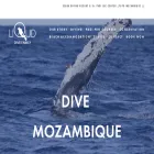 liquiddiveadventures.com