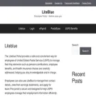 liteblueinsights.com