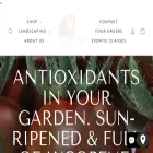 littlerednursery.com