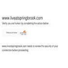 liveatspringbrook.com