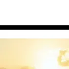 liviaboutique.com