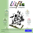 llifle.net