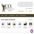 lodialpacas.com