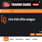 lollbaseball.com