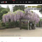 look.satv.co.jp