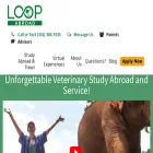 loopabroad.com