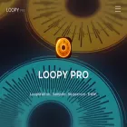 loopypro.com