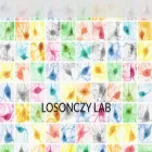 losonczylab.org