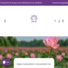 lotusatr.com