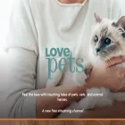 lovepetstv.com