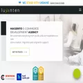 luxinten.com