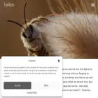 lynkos.net