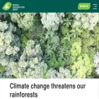 mackayconservationgroup.org.au