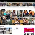 madnessmedia.net