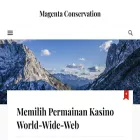 magenta-conservation.co.uk