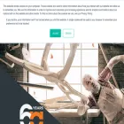 maggi-technology.com