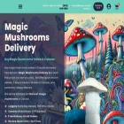 magicmushroomsdelivery.co