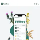 magicscout.app