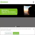 magnaflux.mx