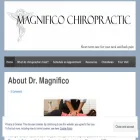 magnificochiro.com