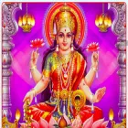 mahalaxmi-lottery.in