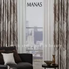 manas.co.jp