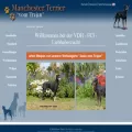 manchester-terrier-vom-trajan.de