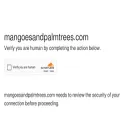 mangoesandpalmtrees.com