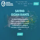 marinemegafaunafoundation.org