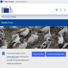 maritime-forum.ec.europa.eu