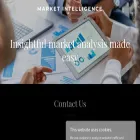 marketintel.co.in