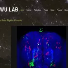 markwulab.net