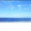marukin-net.co.jp