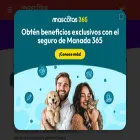 mascotas365.com