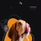 mascotasrionegro.com