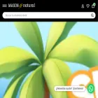 masonnatural.pe