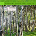 mbct-formation.com