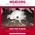 meat.org