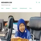 mediabidik.com