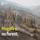 megafire.org
