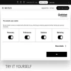 meltflexai.com