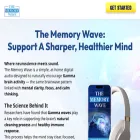 memorywaveofficial.com