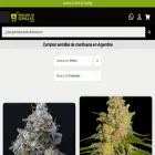mercadodesemillas.com
