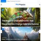 metamagazine.co.uk