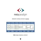 metaparadigm.com